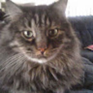 Meet your Posher, Janet